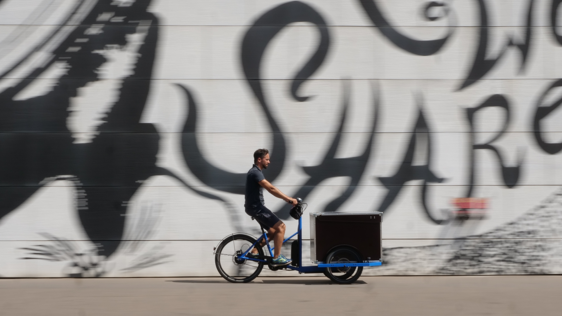 Triporteur Pro